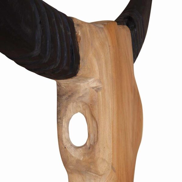 Touro Crânio Escultura Teca 66x15x88 cm - Image 6