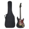Guitarra elétrica p/ iniciantes c/saco 4/4 39" castanho/dourado